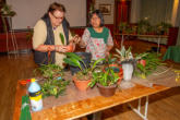 Anna Mette og Knitta fortæller om ompotning af vore planter